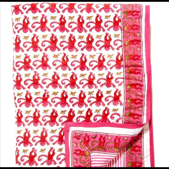 fitting a dog muzzle